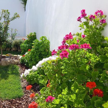 Pateo Dos Oliveira - Casa Da Cocheira Daire Évora Dış mekan fotoğraf