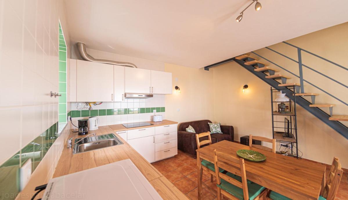Pateo Dos Oliveira - Casa Da Cocheira Daire Évora Dış mekan fotoğraf